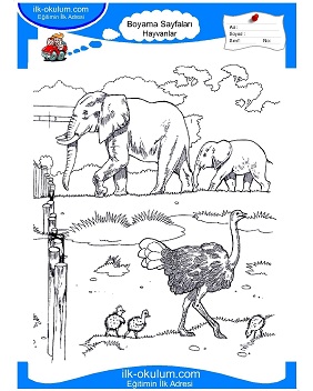 Çocuklar İçin Hayvanat Bahçesi Boyama Sayfaları 